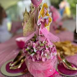Princesses in dresses - Disney Princesses