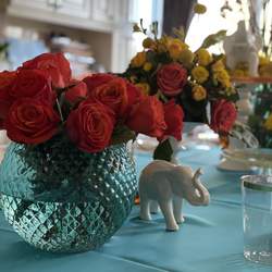 Turquoise and Orange Elephant Birthday - Elephants