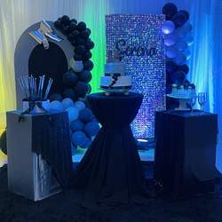 Serena's brilliant 15 years Party  - Silver and black 