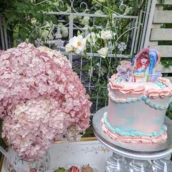 Lucianna s Taylor swift garden party - Taylor swift 