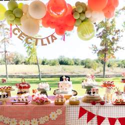Cecília´s First Birthday! - Picnic 