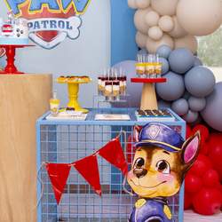 Pedro turns 4! - Paw Patrol
