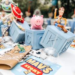 Mav's Story - Toy StoryMav