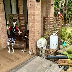 Pirate Party - Pirates