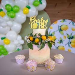 Lemon & Lime, It's Party Time! - Lemon and Lime Styled Bridal Shower Photo Shoot