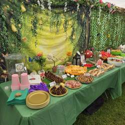 Shrek & Fairies Shared Party - shrek fairies