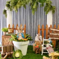Peter rabbit  - Peter Rabbit
