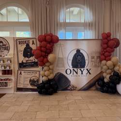 Onyx Rookie Year  - Baseball 