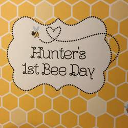 Hunter's 1st bee day - Bumble Bees