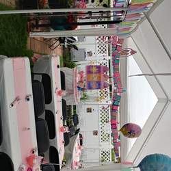 Sofia's B-Day-"Disney Princess" - Disney Princesses