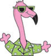 Flamingos 2 Go C