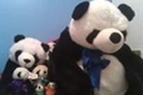Pandaman J