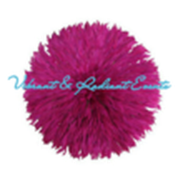 Vibrant & Radiant Events E