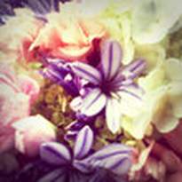 Sweet Treats Party Designer .