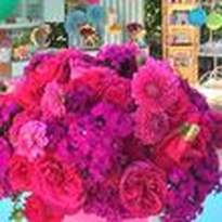 Ellenarievents 