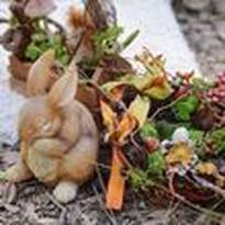 PeekVintageRentals