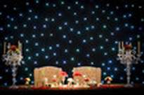 San Ramón Eventos