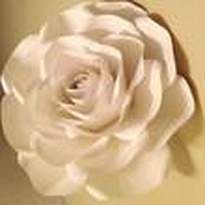 Jasmine S