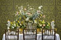 Saturnino Events and Design 