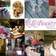 Lolobeauty L
