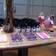 Ashley Holmgren Events A