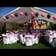 Ibeth's Party Decorations   P