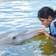 Shubha K