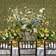 Saturnino Events and Design 