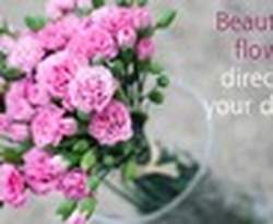 Flowers By Caroline