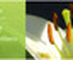 EnVie Events