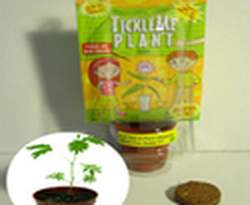 TickeMe Plant Company, Inc.