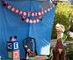 STYLE ON A SHOESTRING EVENT PLANNING