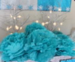 Designs by Fran 