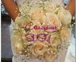 creaciones SUSY