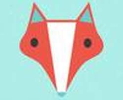 The Paper Fox Party Supplies & Gifts