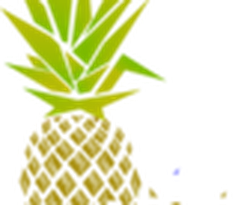 Piña Pinhata