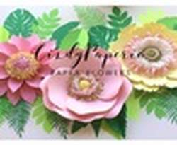 CindyPaperie
