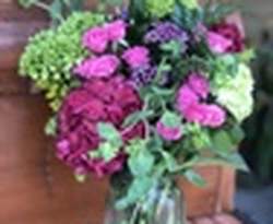All About Flowers
