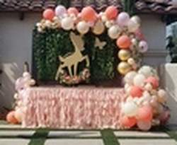 Majestic Party Rental