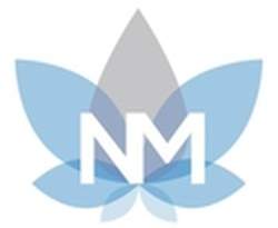 Fusion Moments Media LLC