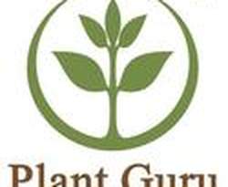 Plant Guru
