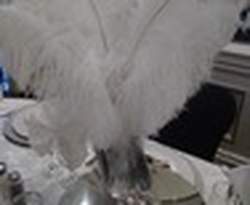 NY Bella Luce Couture Events Stylist