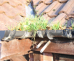 gutter cleaning prices