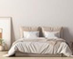 Platform Bed Expert