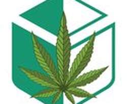 CBD Packaging Store