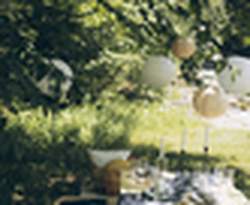 Chic Picnic