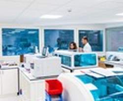 Veracity Lab Solutions LLC