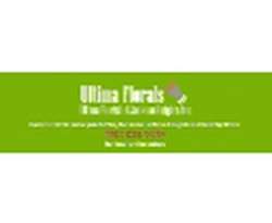 Cress Florist & Decorators