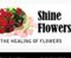 Shine Flowers 