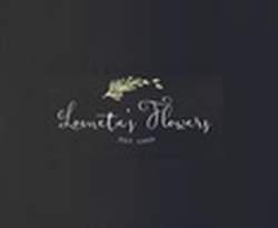 Lometa's Flowers